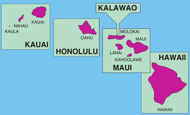 Patrol Service Honolulu Hawaii